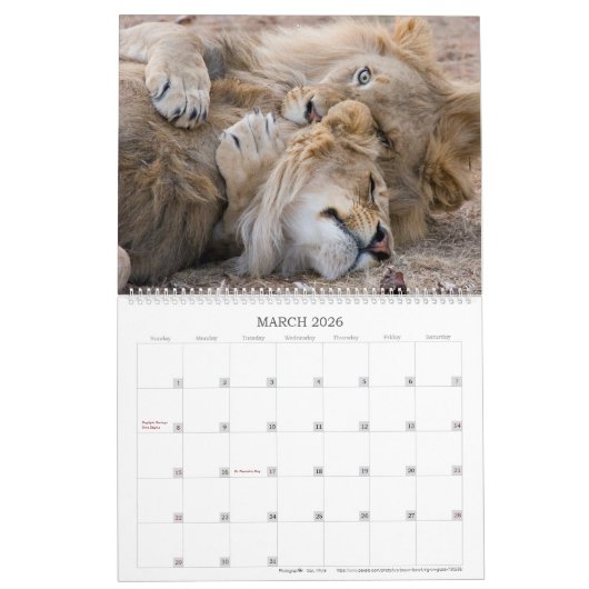 Calendrier Faune affectueuse (Mar 2026)