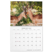 Calendrier Faune affectueuse (Feb 2026)