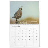 Calendrier Faune Américaine (Feb 2027)