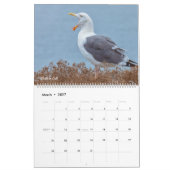 Calendrier Faune Américaine (Mar 2027)