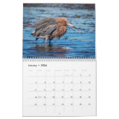 Calendrier Faune au Fort De Soto Park 2026 (Jan 2026)