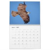 Calendrier Faune au Fort De Soto Park 2026 (Mar 2027)