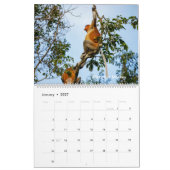 Calendrier Faune de Bornéo (Jan 2027)