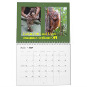 Calendrier Faune de forêt tropicale d'orangs-outans (Mar 2027)
