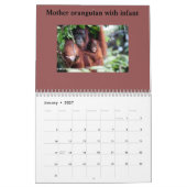 Calendrier Faune de forêt tropicale d'orangs-outans (Jan 2027)