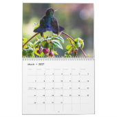 Calendrier Faune du Costa Rica (Mar 2027)