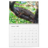 Calendrier Faune du Costa Rica (Jan 2027)