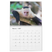 Calendrier Faune du Costa Rica (Feb 2027)