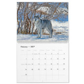 Calendrier Faune du Montana (Feb 2027)