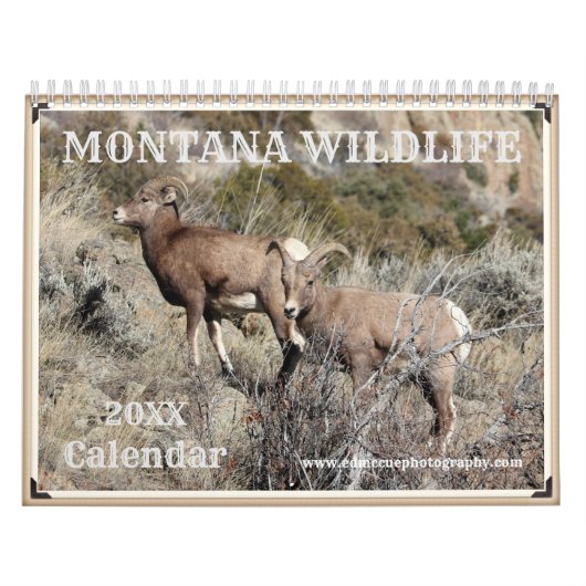 Calendrier Faune du Montana (Protection)