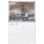 Calendrier Faune du Montana (Feb 2027)