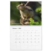 Calendrier Faune du nord-ouest des États-Unis (Feb 2026)