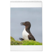 Calendrier Faune écossaise, sauvage et libre (Protection)