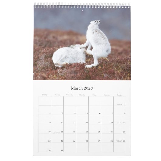 Calendrier Faune écossaise, sauvage et libre (Mar 2026)