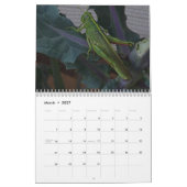 Calendrier Faune et insectes (Mar 2027)