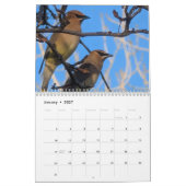 Calendrier Faune et insectes (Jan 2027)
