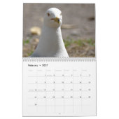 Calendrier Faune et insectes (Feb 2027)