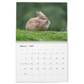 Calendrier Faune et nature (Feb 2027)