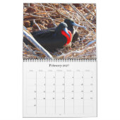 Calendrier faune galapagos 2027 (Feb 2027)