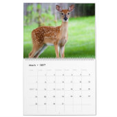 Calendrier Fawns (Mar 2027)
