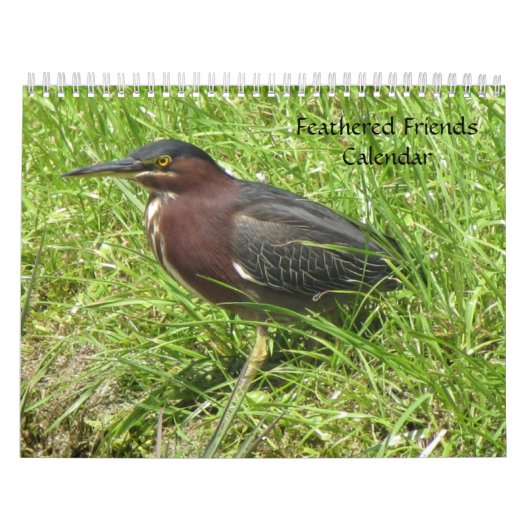 Calendrier Feathered Friends 2013 - Encore Edition (Protection)