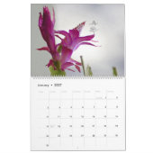 CALENDRIER FÉES DES FLEURS ET DES OMBRES 2026 (Jan 2027)