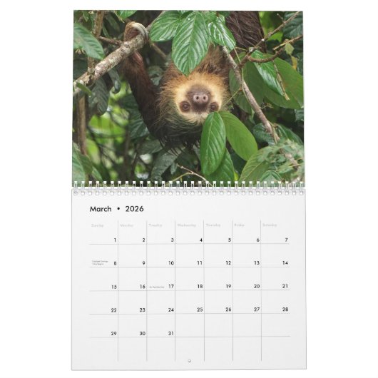 Calendrier Fentes (Mar 2026)