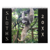 Calendrier Fentes (Protection)