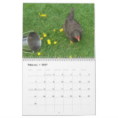 Calendrier Ferme et pays (Feb 2027)