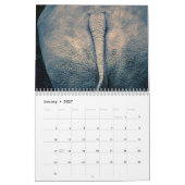 Calendrier Fesses 2027 (Jan 2027)