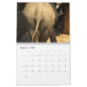 Calendrier Fesses 2027 (Feb 2027)