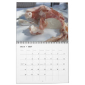 Calendrier Festin par l'Italie (Mar 2027)