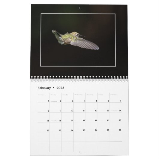 Calendrier Fêtons les colibris (Feb 2026)