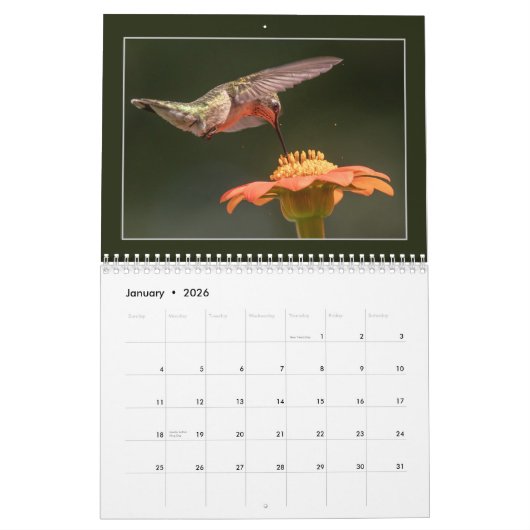 Calendrier Fêtons les colibris (Jan 2026)