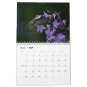 Calendrier Fêtons les colibris (Mar 2027)