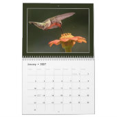 Calendrier Fêtons les colibris (Jan 2027)