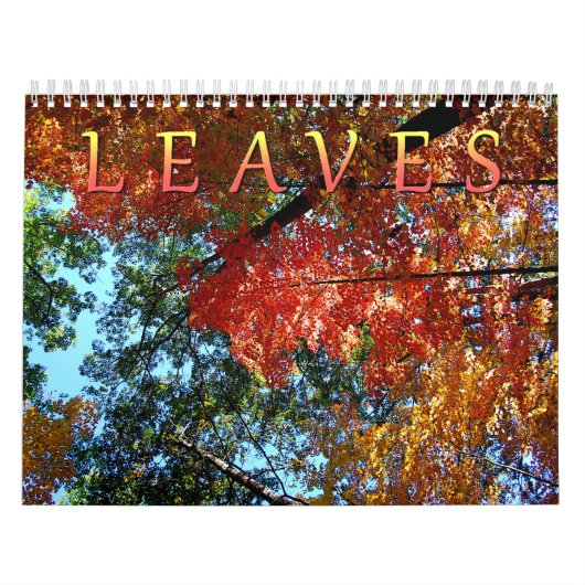 Calendrier Feuille (Protection)