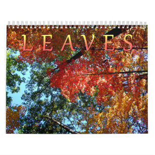 Calendrier Feuille