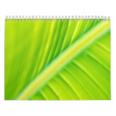 Calendrier feuille de banane verte (Protection)