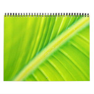 Calendrier feuille de banane verte