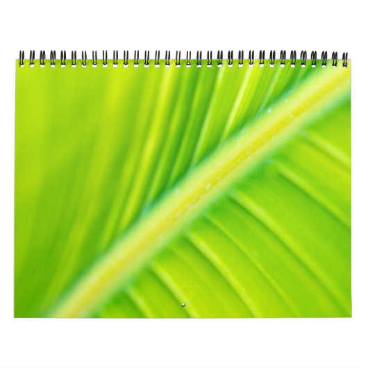 Calendrier feuille de bananier vert (Protection)