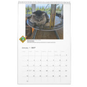 Calendrier FFLA Calendar 2026 (Jan 2027)
