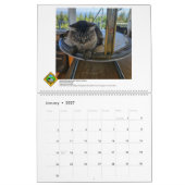 Calendrier FFLA Lookout Calendar 2026 (Jan 2027)