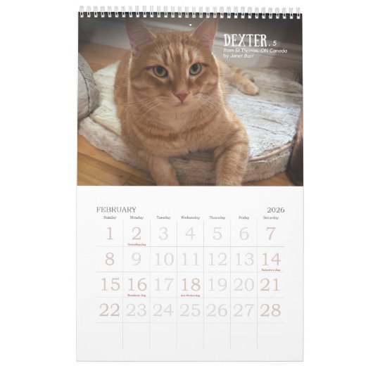 Calendrier Fifth Edition 2026 Calendar (Feb 2026)