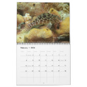 Calendrier Fijian Reef Fishers Calendar 2 (Feb 2026)