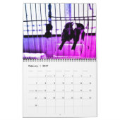 Calendrier Finch Love (Feb 2027)