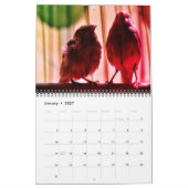 Calendrier Finch Love (Jan 2027)