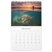 Calendrier Fishing Calendar 2026 / Fish Photo Calendar (Feb 2026)