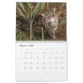 Calendrier FishingCat008, pêchant le chat (Feb 2026)