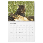 Calendrier FishingCat008, pêchant le chat (Mar 2027)